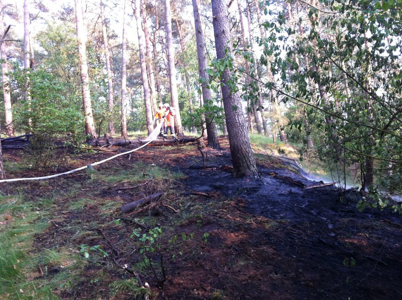 Einsatz der Feuerwehr Eilvese: Brandbekämpfung, 21.05.2011, Bild 2