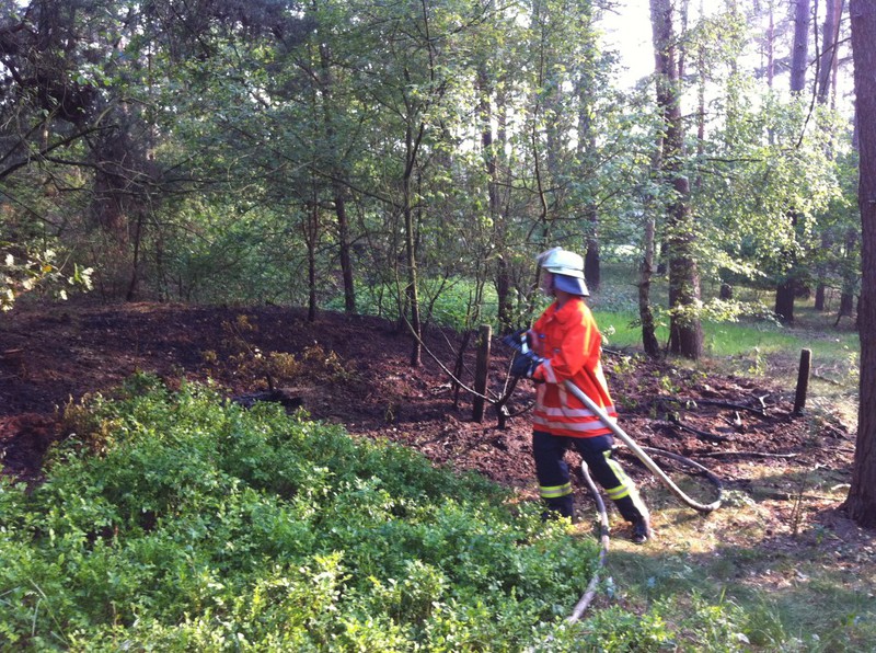 Einsatz der Feuerwehr Eilvese: Brandbekämpfung, 21.05.2011, Bild 3
