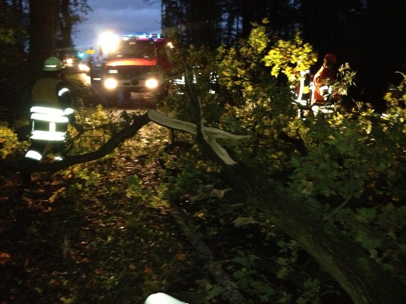 Einsatz der Feuerwehr Eilvese: Technische Hilfeleistung, 17.10.2013, Bild 1