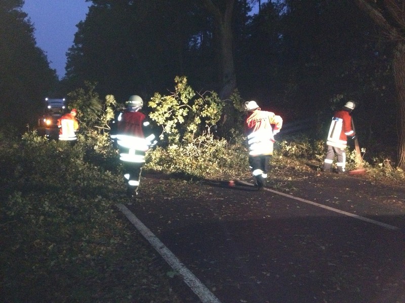 Einsatz der Feuerwehr Eilvese: Technische Hilfeleistung, 17.10.2013, Bild 2
