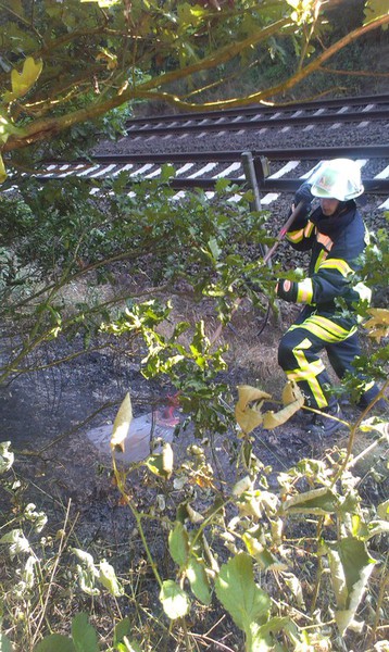 Einsatz der Feuerwehr Eilvese: Böschungsbrand, 03.07.2014, Bild 4