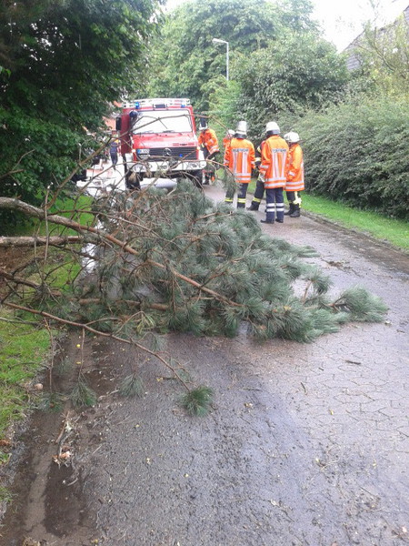 Einsatz der Feuerwehr Eilvese: Baum auf Straße, 05.07.2014, Bild 1