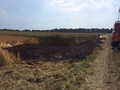 Einsatz der Feuerwehr Eilvese: Flächenbrand, 04.07.2015, Bild 1