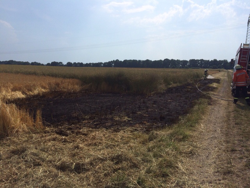 Einsatz der Feuerwehr Eilvese: Flächenbrand, 04.07.2015, Bild 2