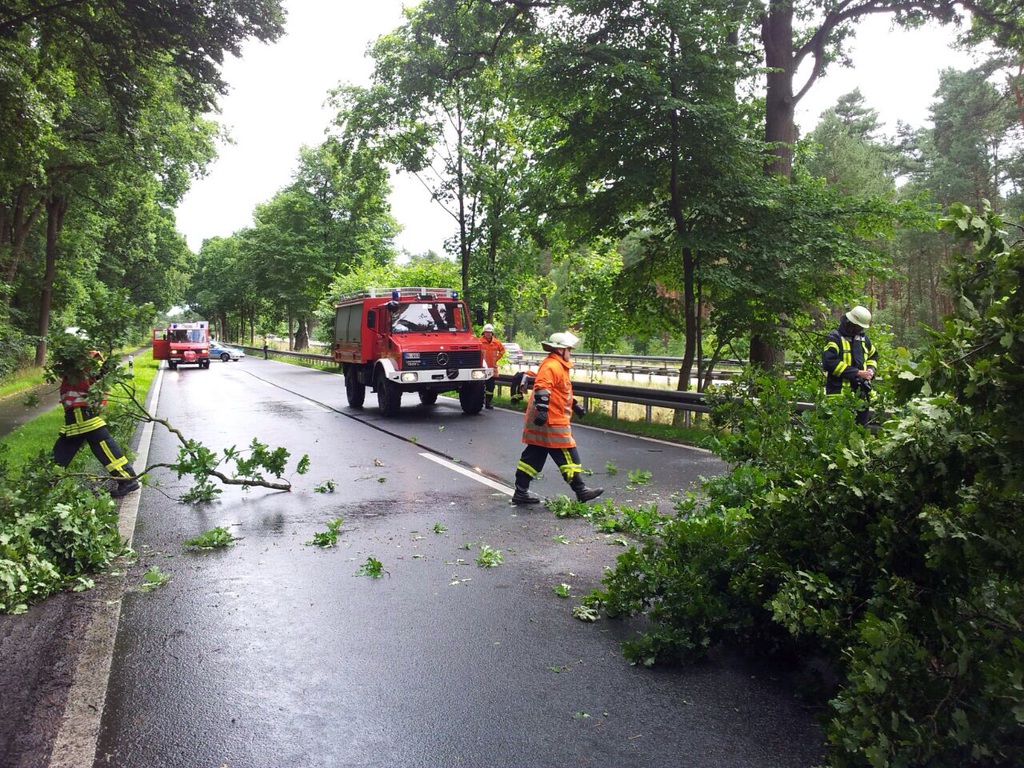 Einsatz der Feuerwehr Eilvese: Baum auf Straße, 25.07.2015, Bild 2