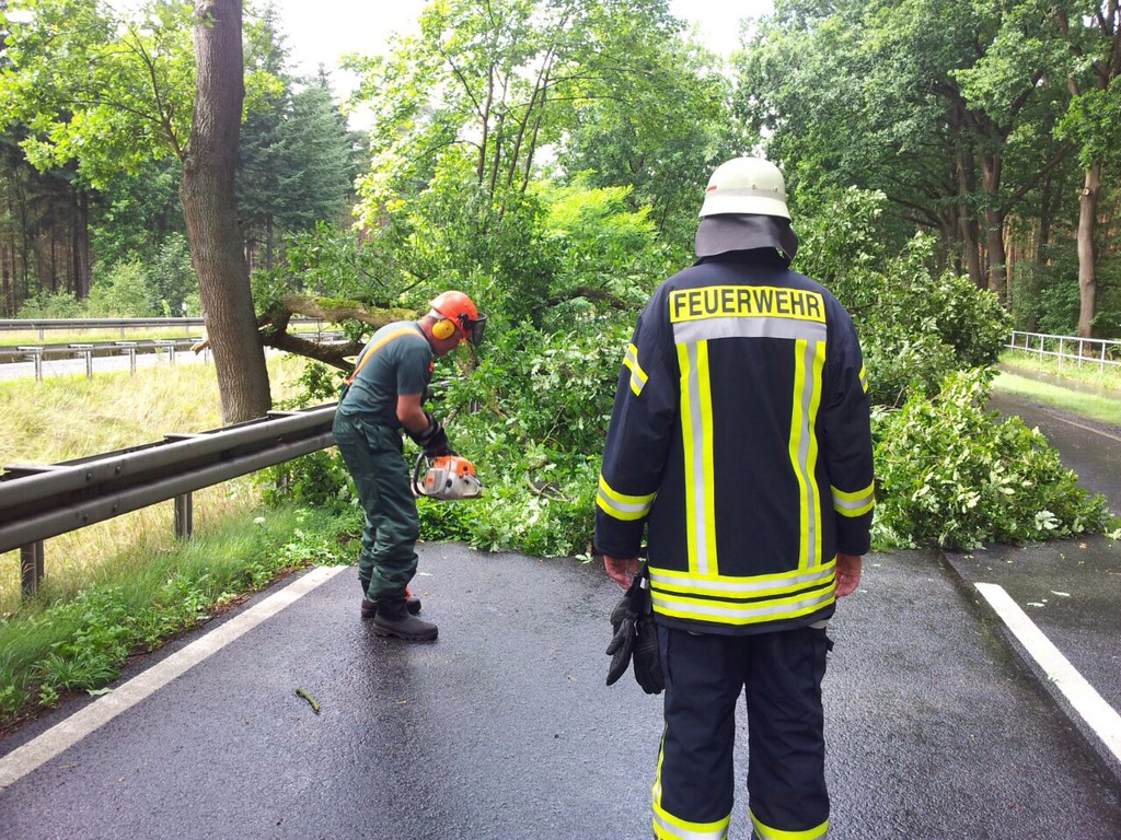 Einsatz der Feuerwehr Eilvese: Baum auf Straße, 25.07.2015, Bild 3