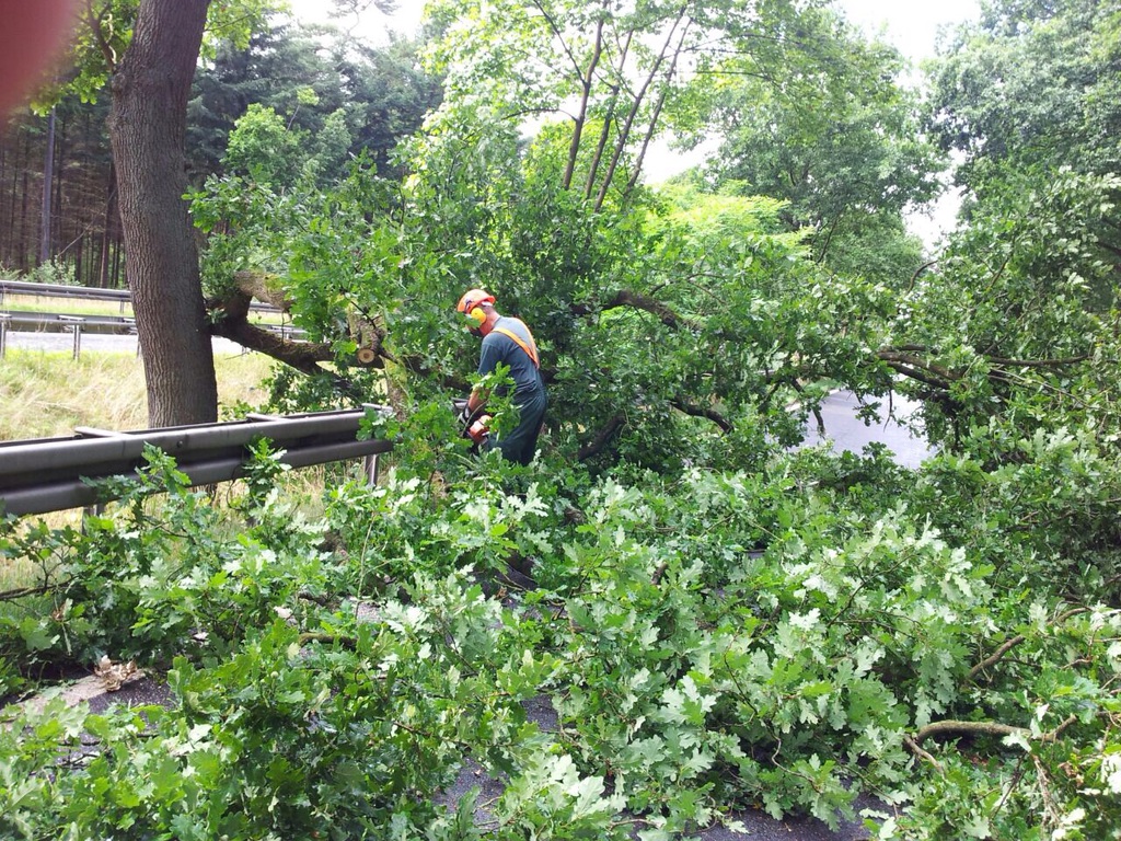 Einsatz der Feuerwehr Eilvese: Baum auf Straße, 25.07.2015, Bild 4