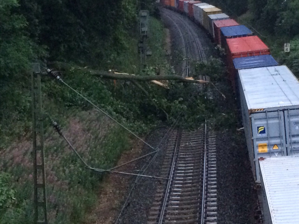Einsatz der Feuerwehr Eilvese: Baum auf Oberleitung, 25.07.2015, Bild 4