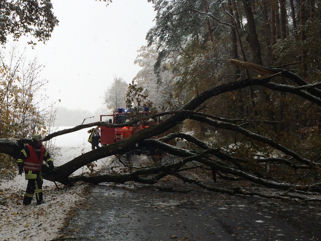 Einsatz der Feuerwehr Eilvese: Baum auf der Fahrbahn, 08.11.2016, Bild 2