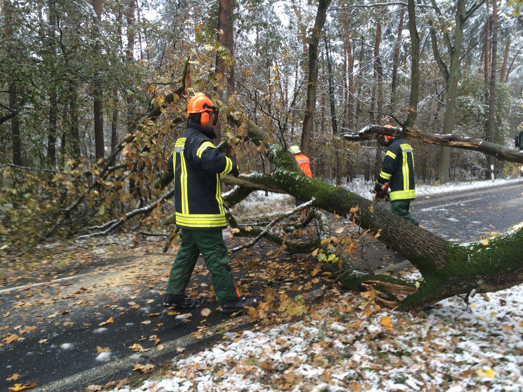 Einsatz der Feuerwehr Eilvese: Baum auf der Fahrbahn, 08.11.2016, Bild 3