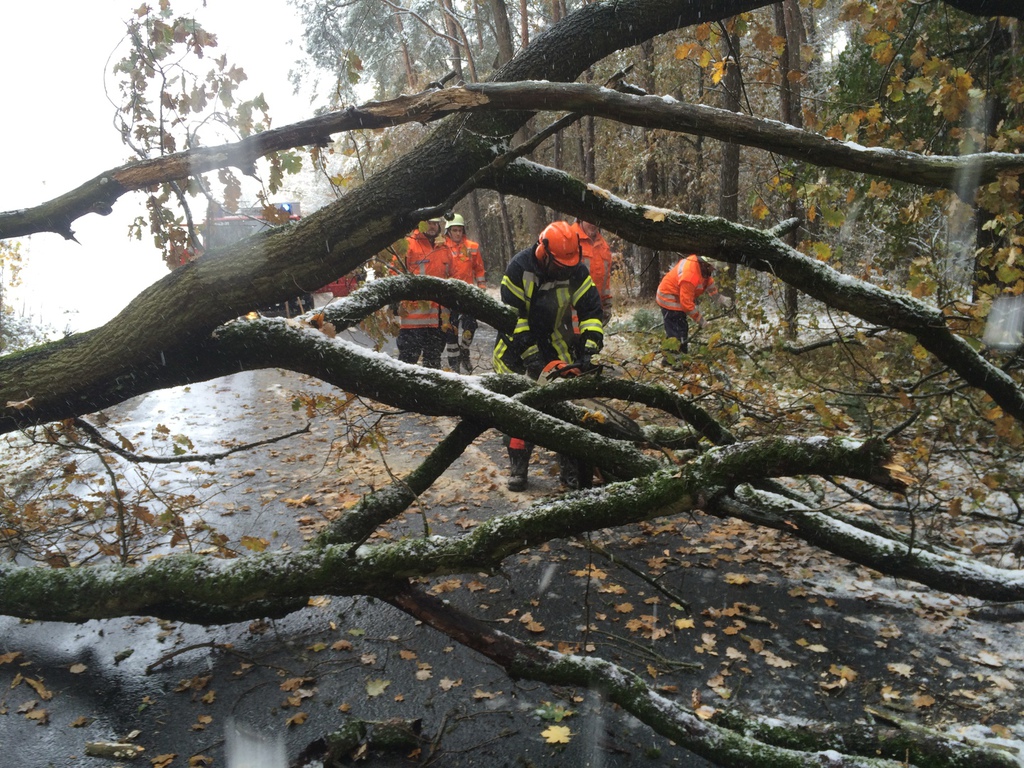 Einsatz der Feuerwehr Eilvese: Baum auf der Fahrbahn, 08.11.2016, Bild 4