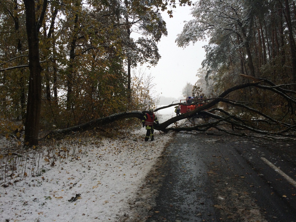 Einsatz der Feuerwehr Eilvese: Baum auf der Fahrbahn, 08.11.2016, Bild 5