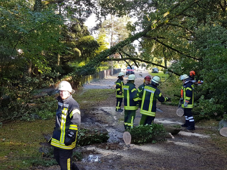 Einsatz der Feuerwehr Eilvese: Baum auf Straße, 05.10.2017, Bild 1
