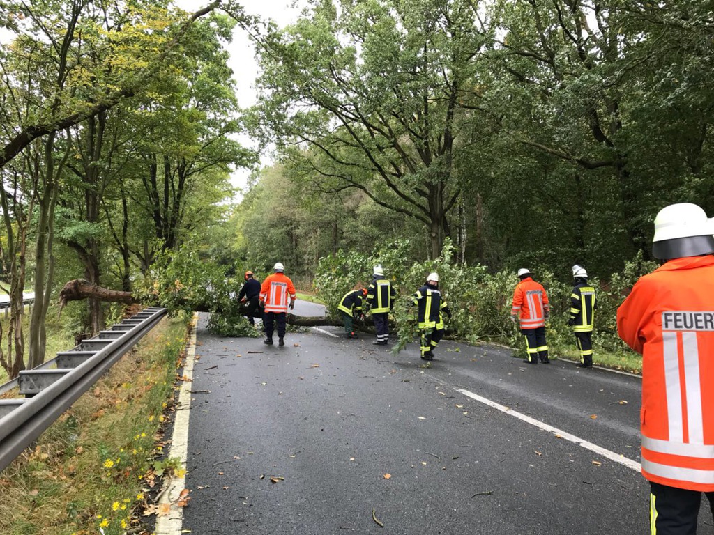 Einsatz der Feuerwehr Eilvese: Baum auf Straße, 05.10.2017, Bild 2