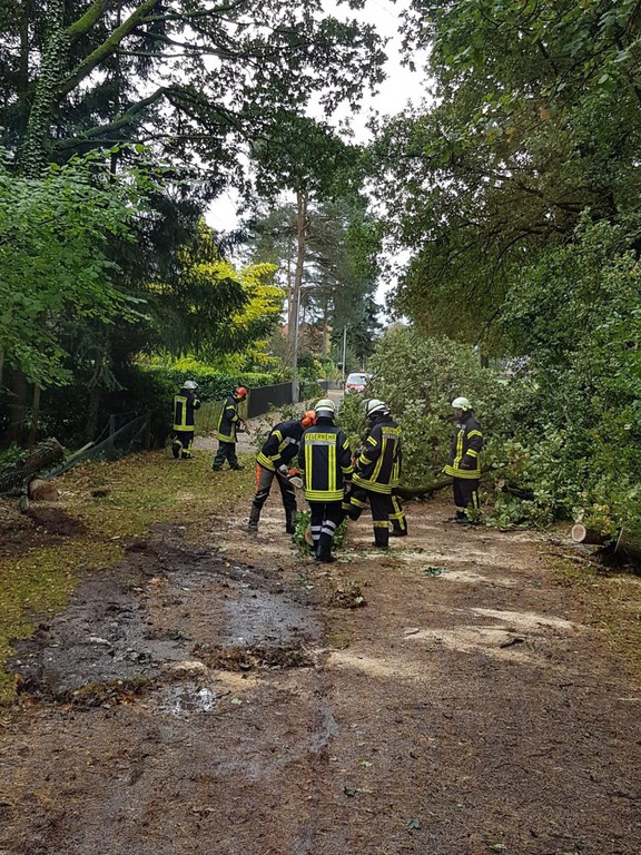 Einsatz der Feuerwehr Eilvese: Baum auf Straße, 05.10.2017, Bild 3