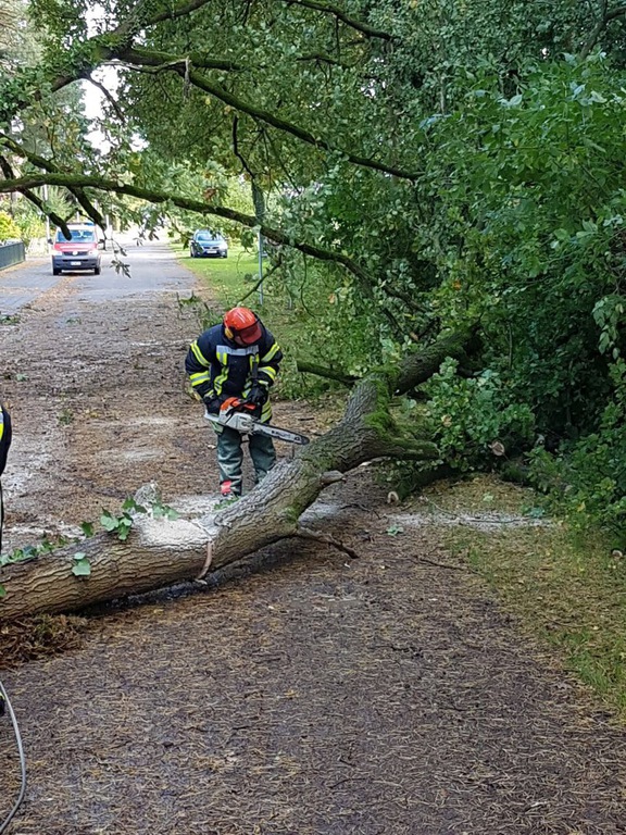 Einsatz der Feuerwehr Eilvese: Baum auf Straße, 05.10.2017, Bild 4