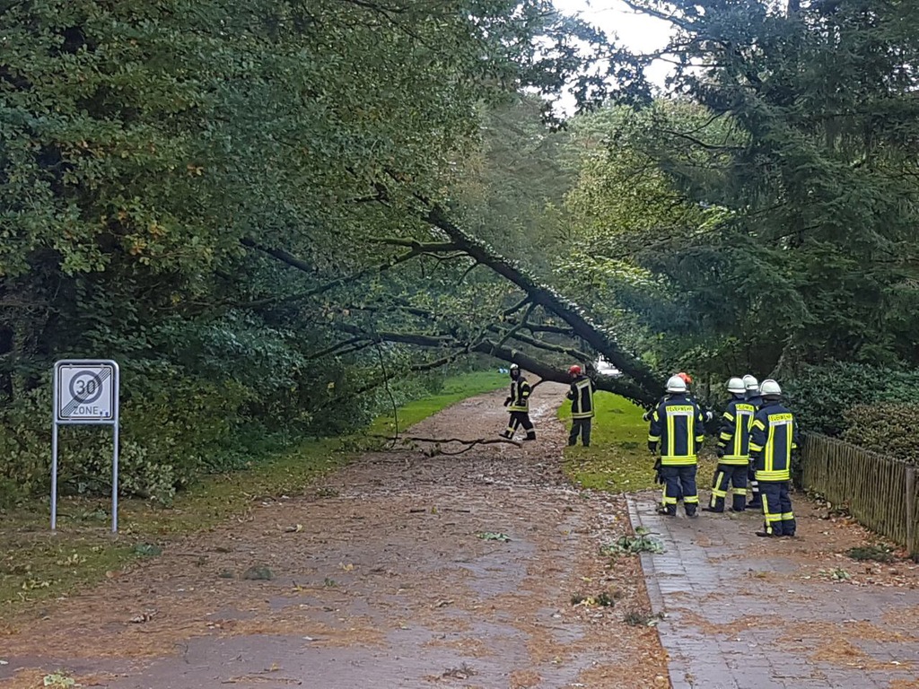 Einsatz der Feuerwehr Eilvese: Baum auf Straße, 05.10.2017, Bild 5