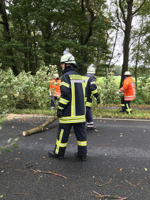 Einsatz der Feuerwehr Eilvese: Baum auf Straße, 05.10.2017, Bild 7