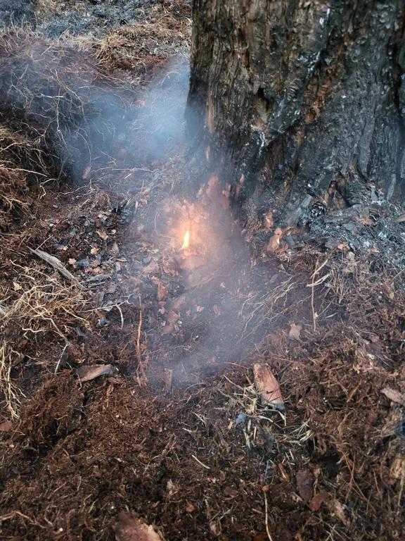 Einsatz der Feuerwehr Eilvese: Waldbrand (Verpflegung), 22.04.2023, Bild 1