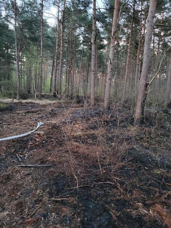 Einsatz der Feuerwehr Eilvese: Waldbrand (Verpflegung), 22.04.2023, Bild 2