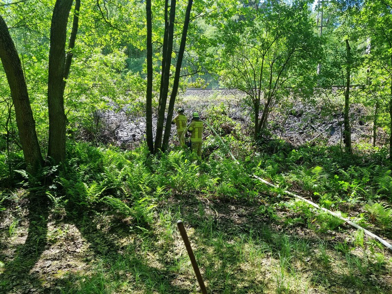 Einsatz der Feuerwehr Eilvese: Böschungsbrand, 15.05.2024, Bild 1