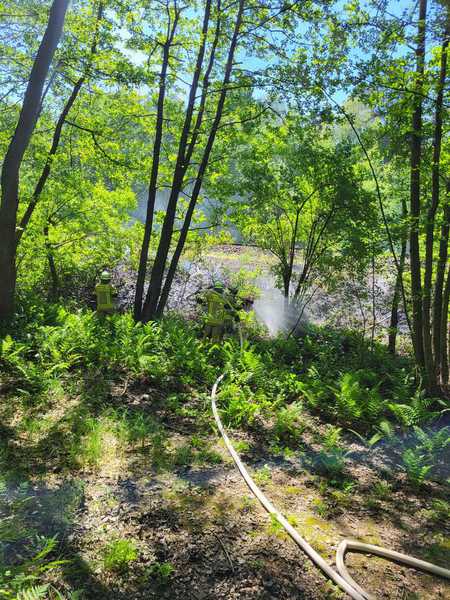 Einsatz der Feuerwehr Eilvese: Böschungsbrand, 15.05.2024, Bild 3