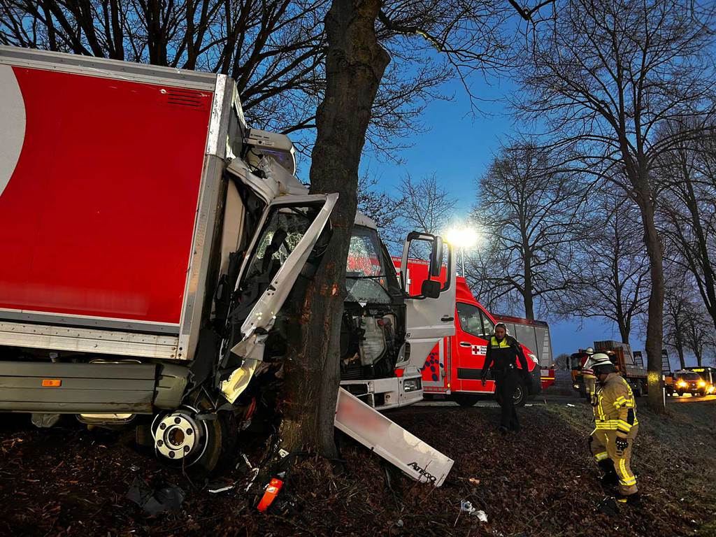 Einsatz der Feuerwehr Eilvese: LKW gegen Baum, 14.03.2025, Bild 2