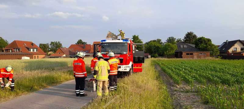 Einsätze mit ABC-Gefahrstoffen, 31.05. / 07.06.2023, Bild 17