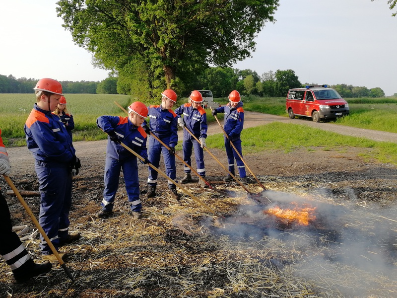 Flächenbrand, 24.05.2019, Bild 2