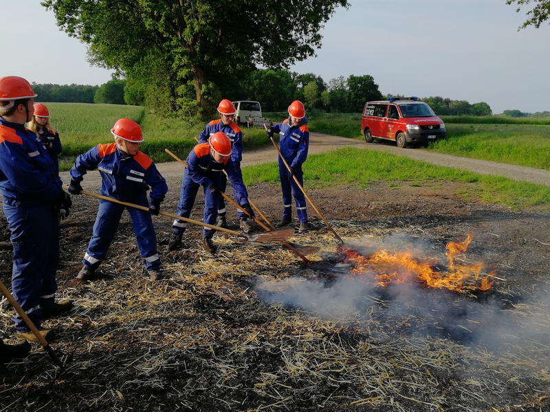 Flächenbrand, 24.05.2019, Bild 3