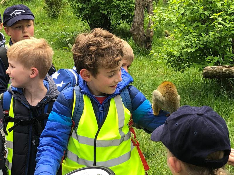 Ausflug in den Serengeti Park, 11.05.2019, Bild 7