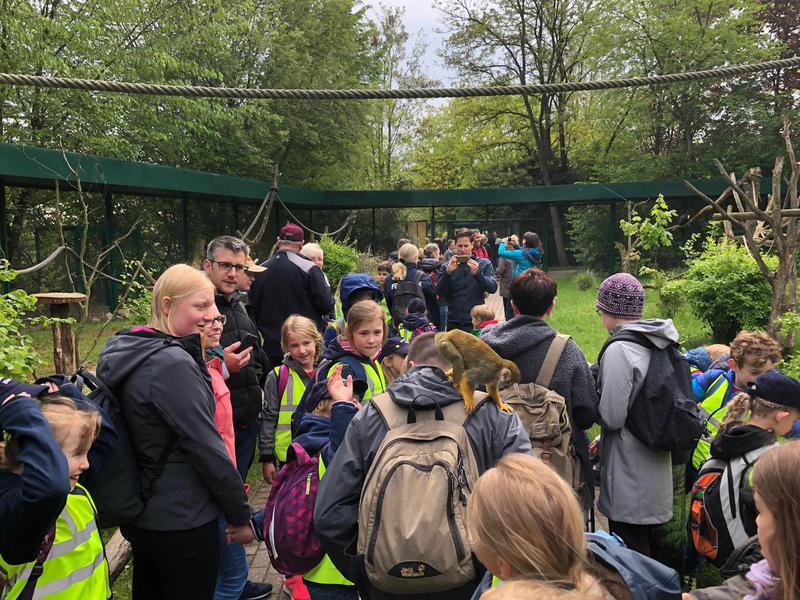 Ausflug in den Serengeti Park, 11.05.2019, Bild 8