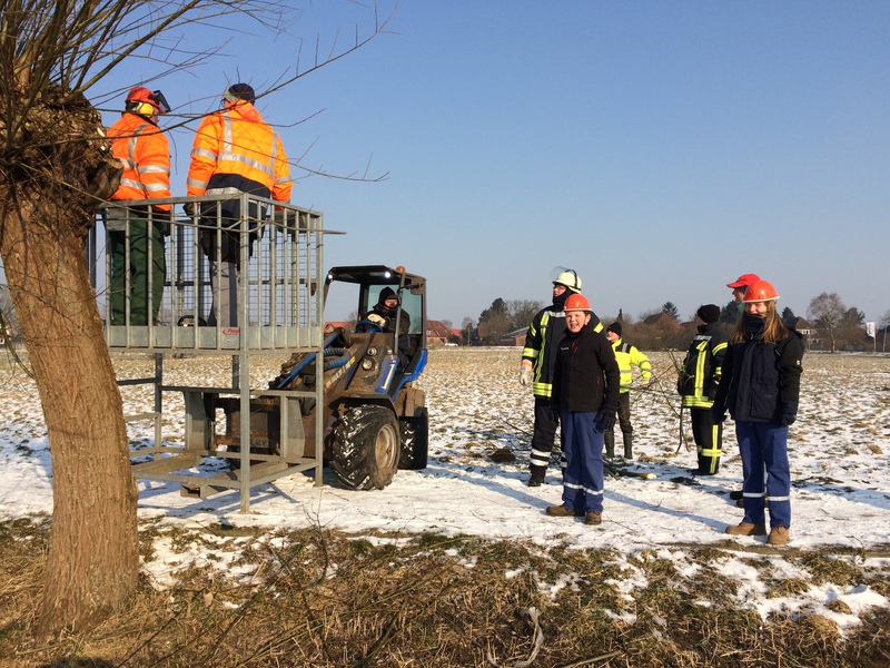 Kopfweidenschneiden, 03.03.2018, Bild 4