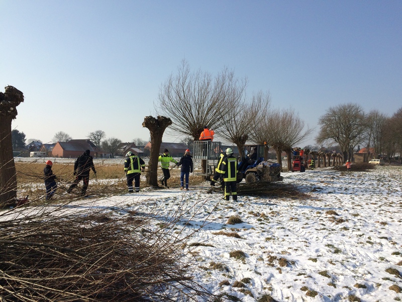 Kopfweidenschneiden, 03.03.2018, Bild 5